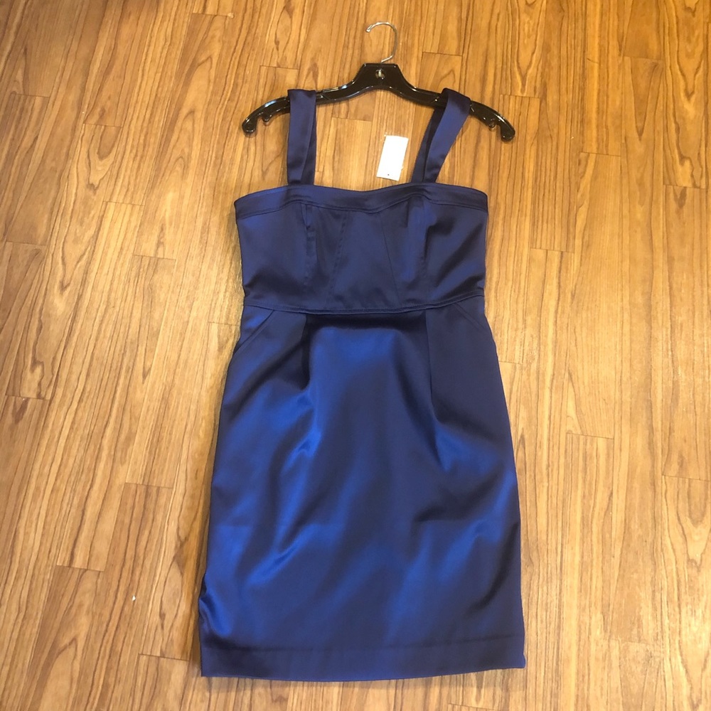 Express Blue Dress